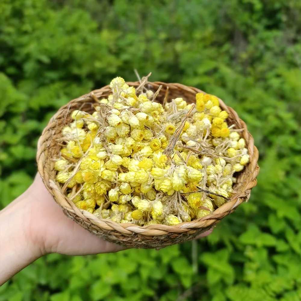 Altın Otu (1 kg)