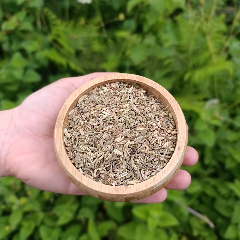 Rezene (1 kg) | Biçerler Baharat