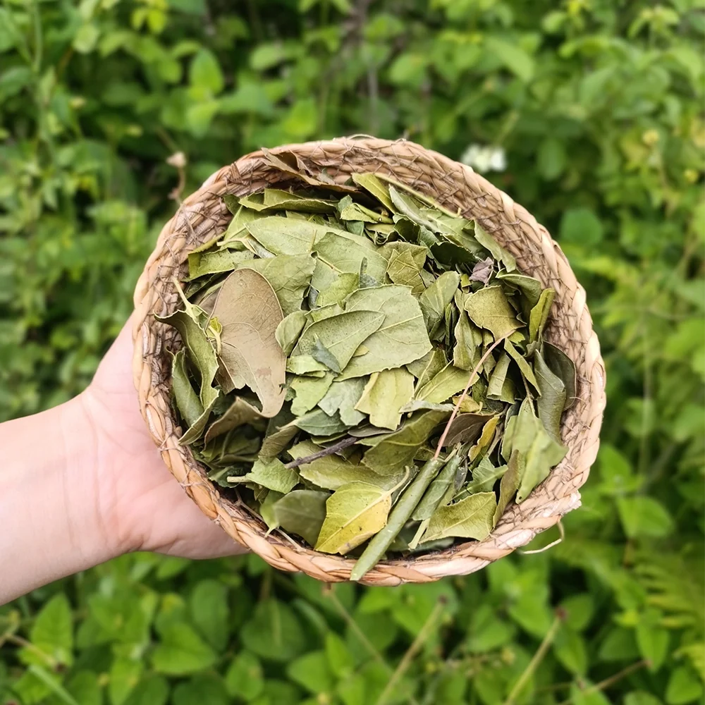 Sidr Yaprağı (1 kg)