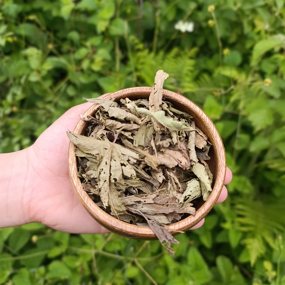 Stevia (1 kg)