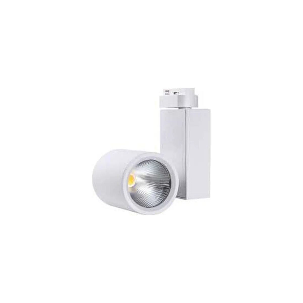 LR467 B 30W Led Ray spot 6500K Beyaz