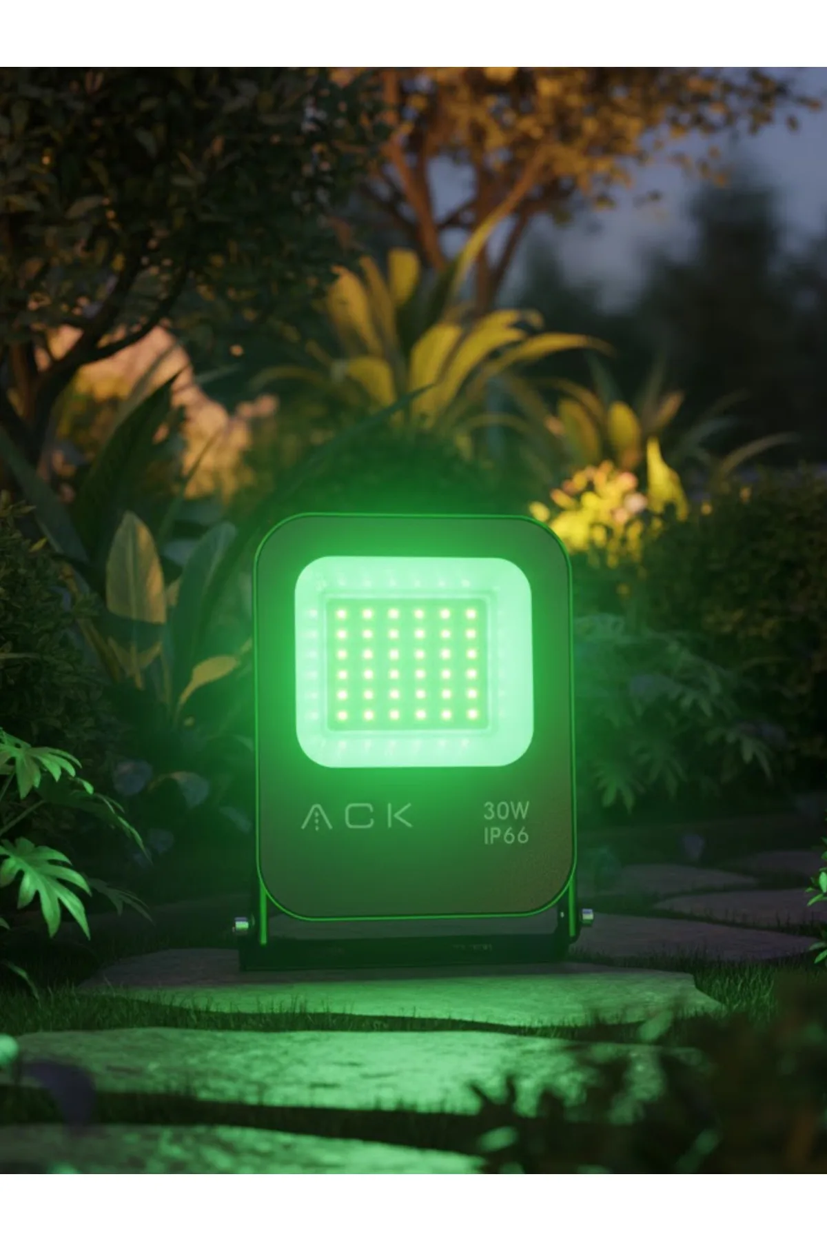 30W LED Projektör Yeşil